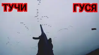 #ТУЧИ