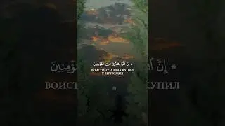 Эмоциональное чтение Корана 🤍