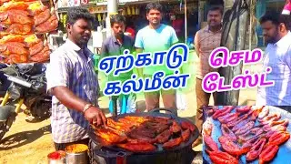 சேலம் ஏற்காட்டை கலக்கும் பெரியாண்டிச்சி கல்மீன் கடை செம டேஸ்ட் | Yercaud Fish Fry