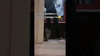 😏 чтоб я без нее делала