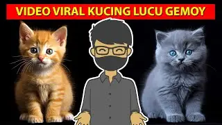 VIDEO LUCU KUCING GEMOY