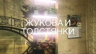 Новая полка для растений.)
