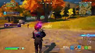 Fortnite with the duo