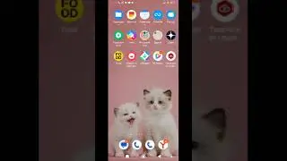 играю в клеш роял