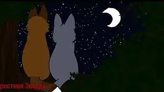 Коты-Воители Синяя Звезда и Жёлудь - Навсегда