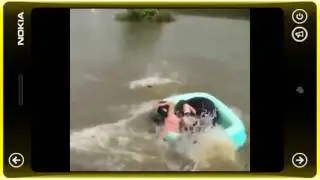 Ржака Сбили собаку