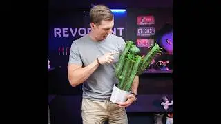 3D Scan a Cactus - Revopoint POP 3 Scanner 