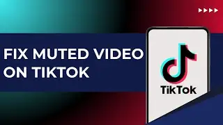 How To Fix Muted Video On Tiktok