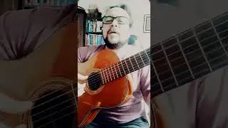 As Rosas não falam