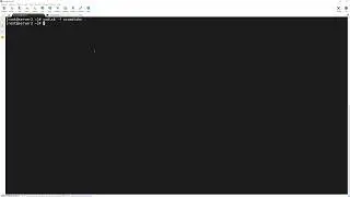 23   Configuring Disk Group and File System