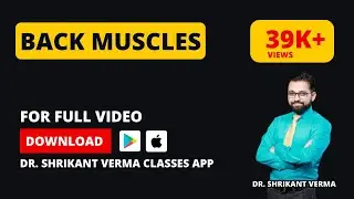 Upper Limb Anatomy: Exploring Back Muscles | Dr.Shrikant Verma Classes