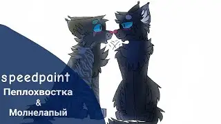Draw cat war: Пеплохвлстка & Молнелапый