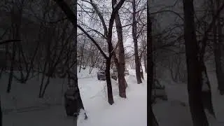 Вот такая погода сегодня.