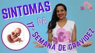 Os Segredos da 17ª Semana de Gestação