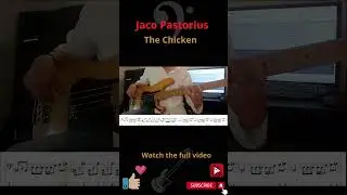 Jaco Pastorius -Chicken (melody) #guitar #guitarcover #fender
