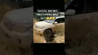 አሪፍ የሚባለው መኪና