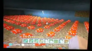my mushroom room