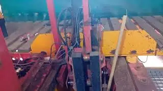 Ремонт, сажалка бамбука.