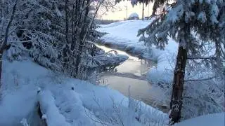 Морозный ручей в лесу за околицей