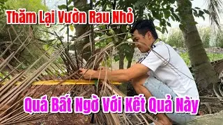 Hoang Anh revisited the vegetable garden and was surprised with this result.