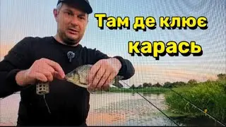Нічна риболовля на сома  перетворилася  в рибалку на карася