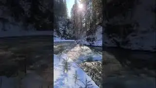 Горная река в Карпатах Румыния