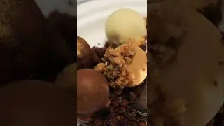 Pearl plated dessert 🍫