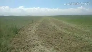Кошу степное естественное сено. МТЗ 82.1. Косилка Kuhn fc 3000. Китайские подшипники г...о.