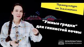 «Умные» грядки для участков с тяжелыми глинами.