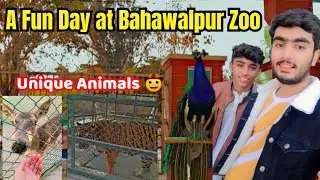 A Fun Day spent at Bahawalpur Zoo with Cousins 🤙 Bahawalpur Zoo Visit & Vlog 🤩