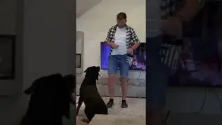 The rule of 100 💯 🐶 #viralvideo #dogtrainingtips #dogtraining #dogtricks #trainingtips #petlovers