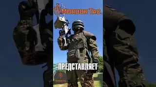 Плитоносец 