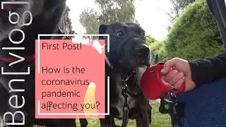 [vlog] First Post! How is the coronavirus pandemic affecting you?