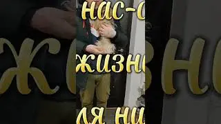 Встречает с работы 😀 #собака #yorkshire #yorkie