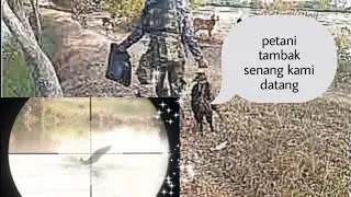 petani tambak menangis gagal panen gara gara satu ini.