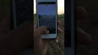 i phone camera testing |#shorts #shortvideo