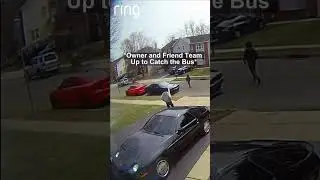 Angry Hellcat Owner Chases Down School Bus