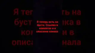 4 ноября 2023 г.