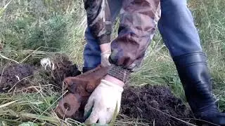 Что можно найти на советских свалках, хорошая находка