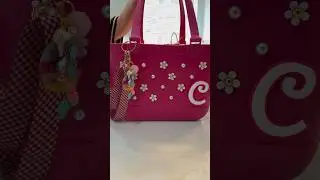 Journey of the traveling beach bag.