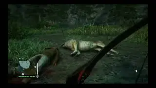 FarCry 4 Модная сумка для патронов из леопарда и кошелёк из волка , а так же мы взорвали храм