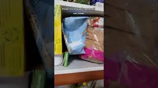 КОРОТКО О МОЕЙ НЕРВНОЙ СИСТЕМЕ