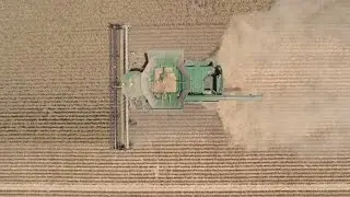 Wilnecote Pty Ltd Harvest 2014