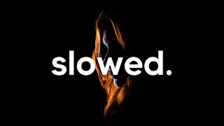 Wild by Massane feat. Colouring - Slowed