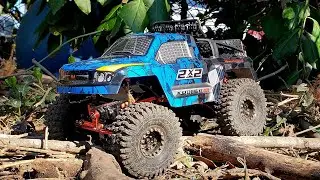 Axial Scx24 Cralwer in the Jungle