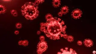 COVID-19 3D Animation Background 4K - FREE Download Video Coronavirus / No Copyright