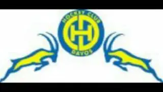 HCD Song (Go Go HCD)