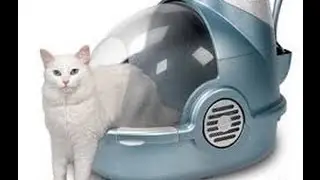 Закрытый туалет для кошек_Размеры кошек