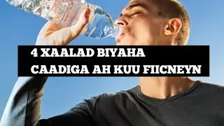 4 XAALAD OO BIYAHA CAADIGA AH KUU FIICNEYN