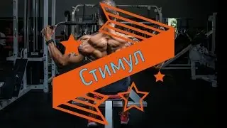 Стимул - Автор: Вадим Чекряжев
